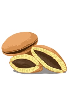 Delicious dorayaki traditional Japanese Snack cake on white background vector