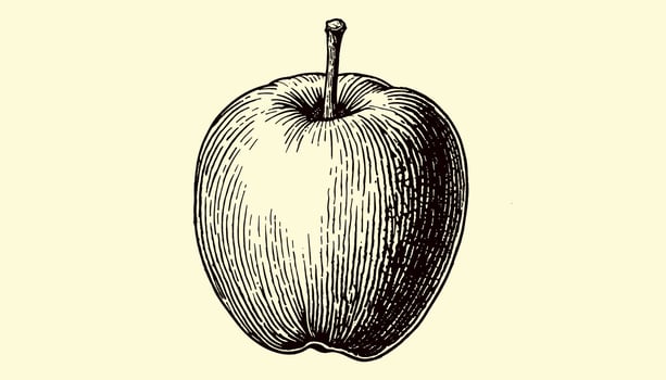 Classic apple engraving in vintage black and white artistic design vector