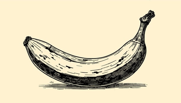 Classic banana engraving in vintage black and white artistic design vector