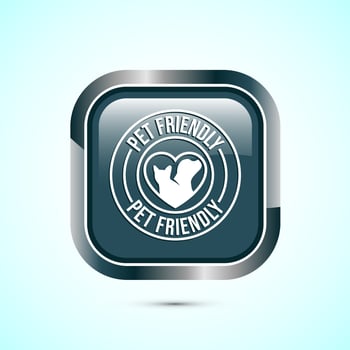 Pet friendly icon design illustration, Animal friendly label, badge, sign, symbol, Gray Color Square Button Design vector