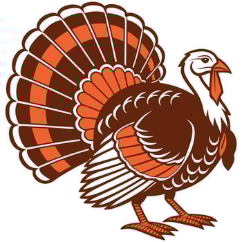 Simple and Detailed Turkey Clipart Art. vector