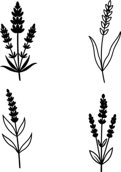 Silhouette of a Lavender flower illustration vector