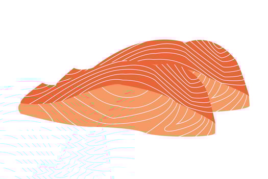 Salmon fish isolated on white background. Seafood icon. Salmon fish and sliced of salmon fillet steak illustration. vector