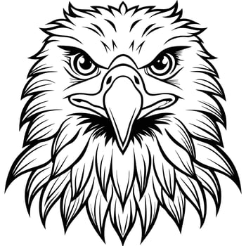 an eagle head with a black and white outline vector