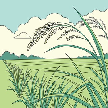 An illustration of a rice field with tall grass vector