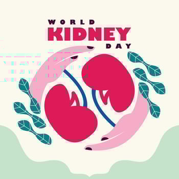 Flat illustration for world kidney day vector