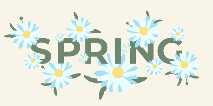 Minimalistic Spring Background with Chamomile Flat Style. Modern Template for Banner, Weddings, Birthday, Invitations, Mother's and Women's Day, March 8, Easter, Web Covers, Presentations, Sale. vector