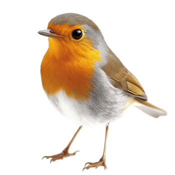 Bright little bird perched on a branch in nature png