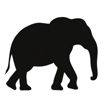 Elephant walking gracefully in a natural setting png
