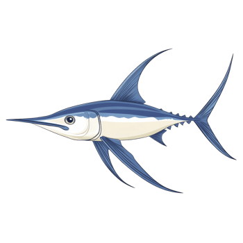 Swordfish swimming in ocean waters png