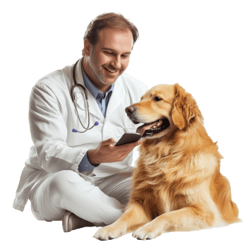 Vet with golden retriever and phone png