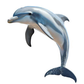 Dolphin leaping gracefully through the water png