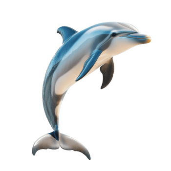 Dolphin swimming gracefully in clear blue water png