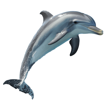 Dolphin leaping through water in ocean view png