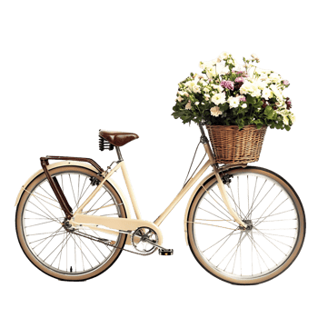 Elegant Vintage Bicycle with Flowers in Basket png