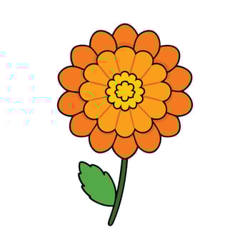 The History and Cultural Importance of Marigold Flowers vector