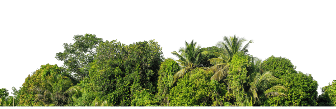 with clipping path and alpha channel, high resolution png