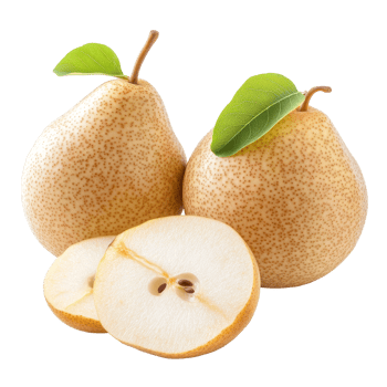 Freshly sliced Chinese pear showcasing its crisp texture and sweet taste on a pristine background, Chinese pear or Asian pear with sliced isolated on transparent background png