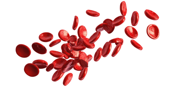 Red blood cells scattered isolated on transparent background png