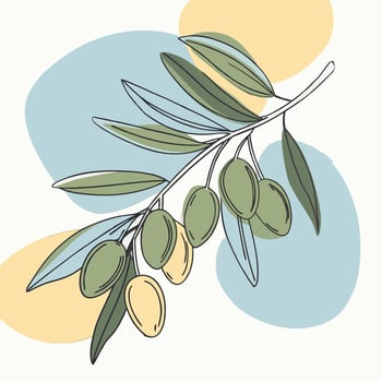 Minimalist olive branch with green olives and leaves on a light background vector