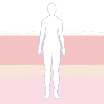 Understanding Skin Layers A Visual Guide to Dermis, Epidermis, and Subcutaneous Tissue vector