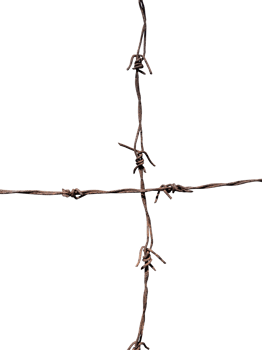 Cross barbed wire isolated element png