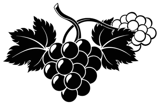 Grapes silhouette black icon vector