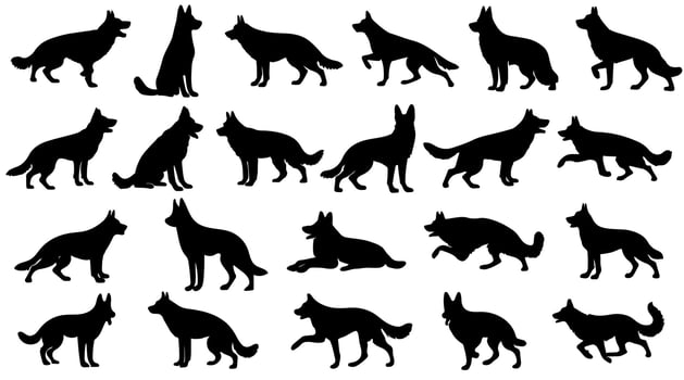 Set of dogs silhouette in different poses. Large set of german shepherd dogs. Hand drawn black dogs isolated on white background. vector