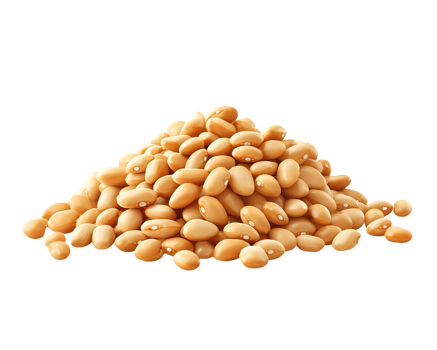 Pile of Light Beige Beans png