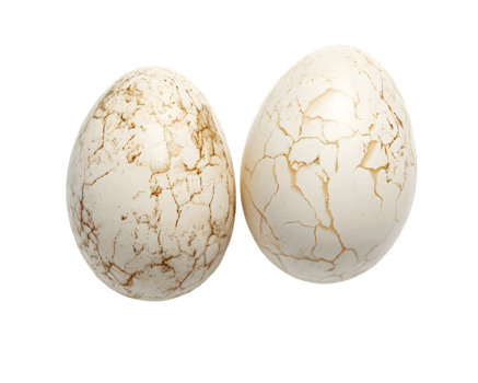 Two Cracked Off-White Eggs with Brown Markings png