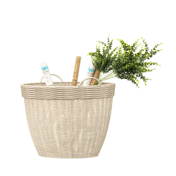 Green plants with August Grove Christa Solid Wood General Basket isolated on transparent Canvas png