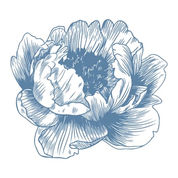 Botanical blue wedding flower on white background. Hand drawn floral, flower and leaf branch in toile de jouy style. Line art for wedding, monogram, invitation, greeting, logo, birthday cards vector
