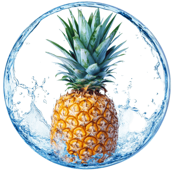 Fresh pineapple surrounded by a splash of water contained in a circular shape for a vibrant and refreshing look, Pineapple with water splash in circle shape isolated png