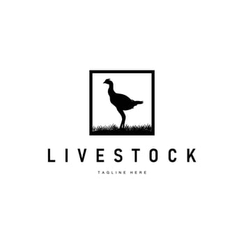 chicken logo illustration vintage design livestock vector