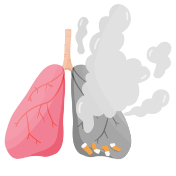 Lung Damage - Anti-Smoking Cigarette Health png