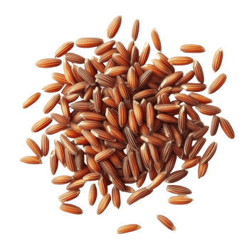 Brown rice seeds isolated on a transparent background showcasing their unique color and texture in natural lighting, brown rice seeds isolated on transparent background png