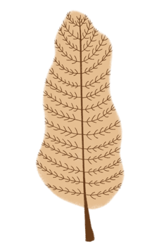 Flat hand drawn brown tree transparent png