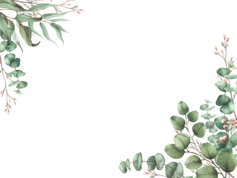 Eucalyptus seeded, silver dollar tree plant with Laurel branch and twig with pink buds and flowers rectangular frame. Watercolor greeting card templated. Painted illustration isolated from background png