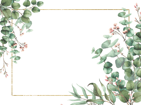 Eucalyptus plant and Gypsophila flower twig with gold frame. Watercolor floral rectangular template. Green branches with round leaves and pink buds. Hand drawn illustration isolated from background png
