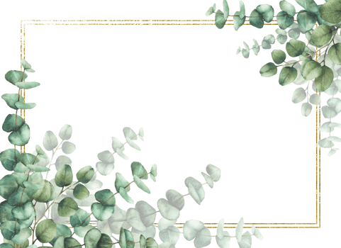 Eucalyptus leaves and branches with gold framed. Watercolor hand drawn floral banner illustration. Frame, template for wedding invitations, save the date or greeting cards. Isolated from background png