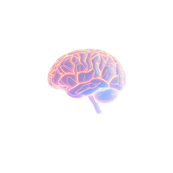 An artistic representation of a brain, showcasing neural connections and vibrant colors. png