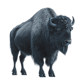 an image of a bison on a transparent background png