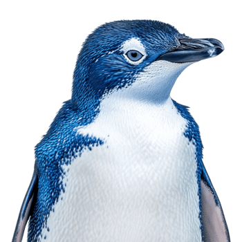 blue penguin on transparent background png