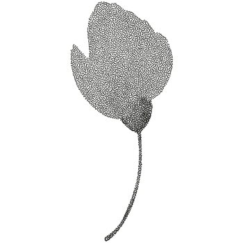 A black and white illustration of a flower png