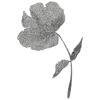 A black and white silhouette of a flower png