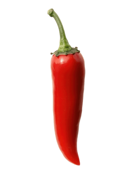 Spicy red chili pepper isolated transparent background food photography ingredient png