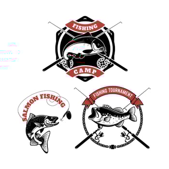 fishing tournament labels. Carp fishing, salmon fishing, perch fishing. Design elements for logo, label, emblem, sign vector