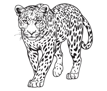 A leopard coloring page vector