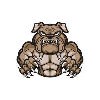 bulldog illustration muscular design logo on white background vector