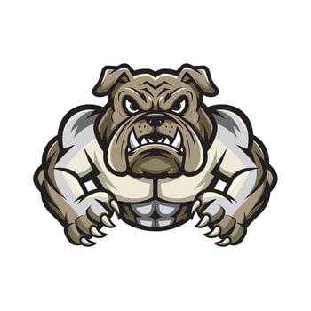 bulldog muscular design logo illustration vector